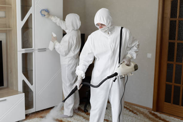 Certified Mold Removal in Coventry Lake, CT