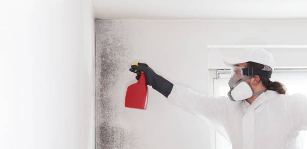 Best Crawl Space Mold Removal  in Coventry Lake, CT