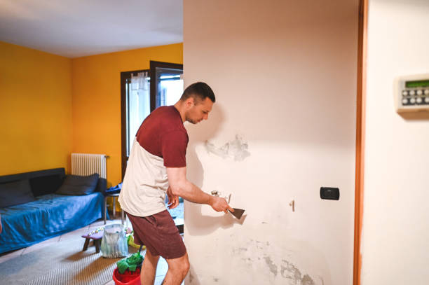 Best Attic Mold Removal  in Coventry Lake, CT